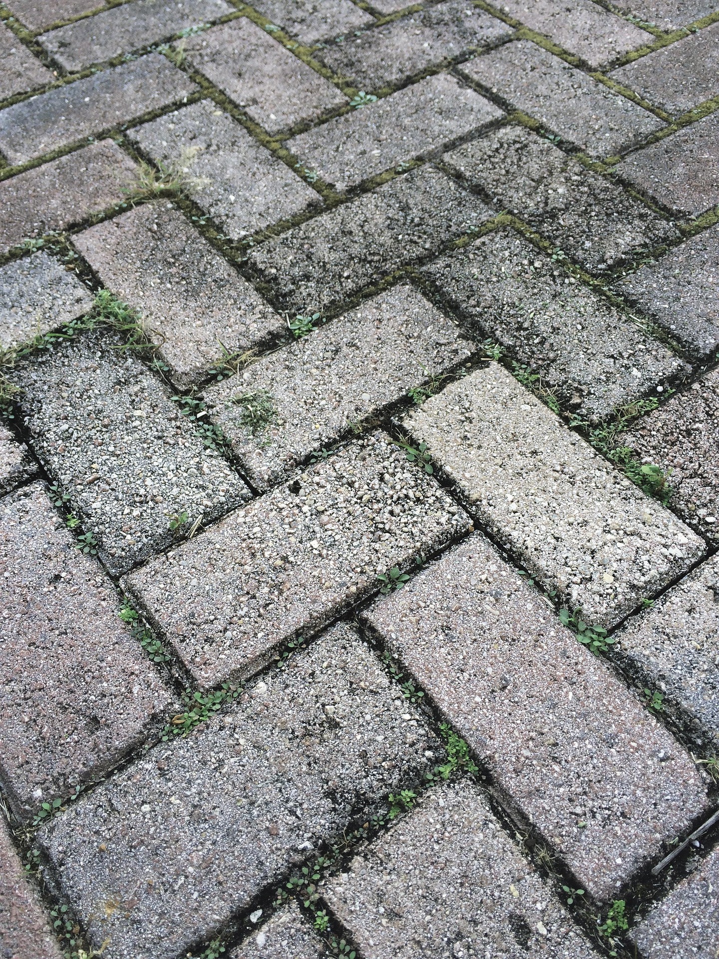 Paver Restoration